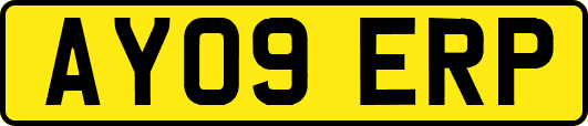 AY09ERP