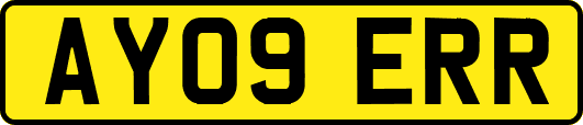 AY09ERR