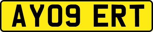 AY09ERT