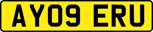AY09ERU