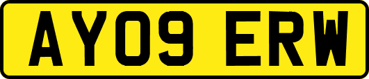 AY09ERW