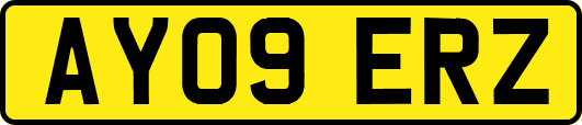 AY09ERZ