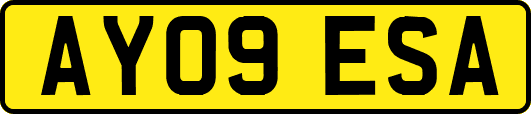 AY09ESA