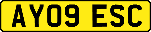 AY09ESC