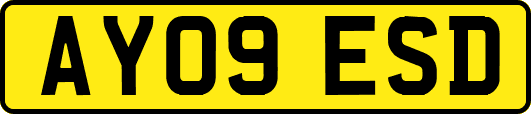 AY09ESD