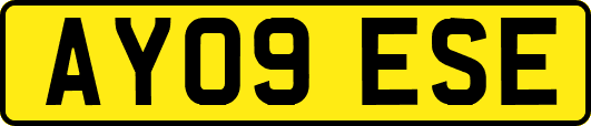 AY09ESE