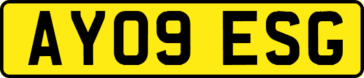 AY09ESG