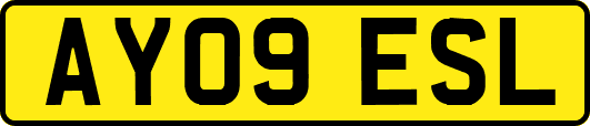 AY09ESL
