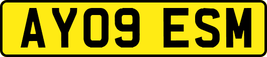 AY09ESM
