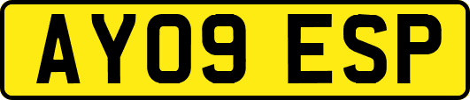 AY09ESP