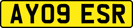 AY09ESR