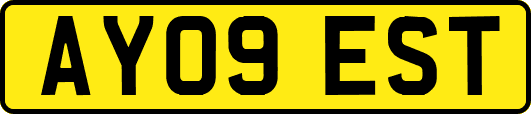 AY09EST