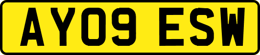 AY09ESW