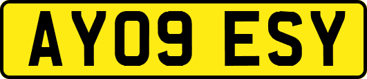 AY09ESY