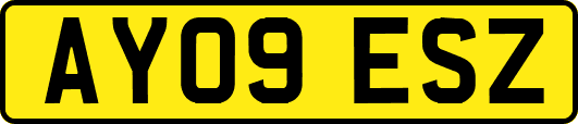 AY09ESZ