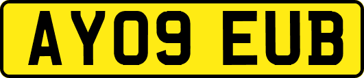 AY09EUB