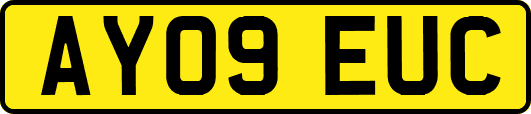 AY09EUC