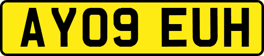 AY09EUH