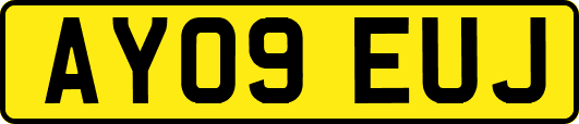 AY09EUJ