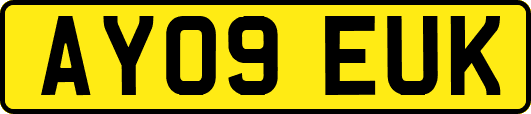 AY09EUK