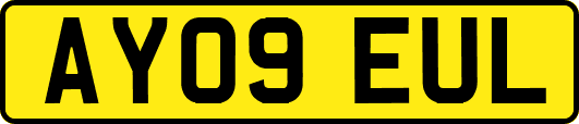 AY09EUL