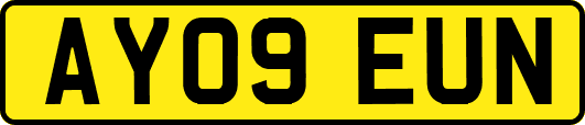 AY09EUN