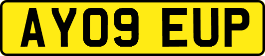 AY09EUP