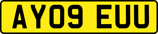 AY09EUU
