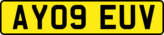 AY09EUV