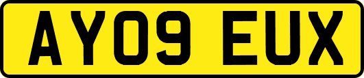 AY09EUX
