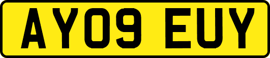 AY09EUY