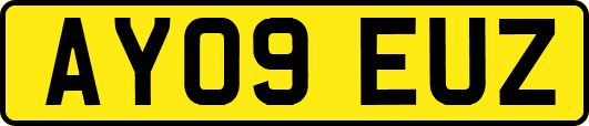 AY09EUZ