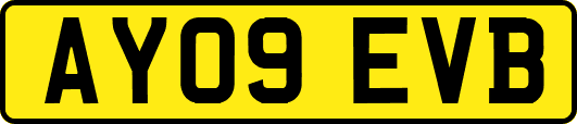 AY09EVB