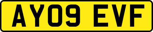 AY09EVF