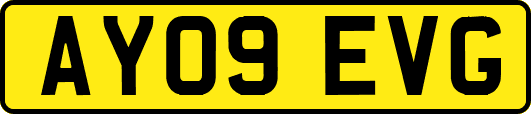 AY09EVG