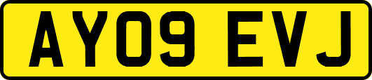 AY09EVJ