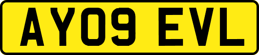 AY09EVL