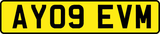 AY09EVM