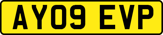 AY09EVP