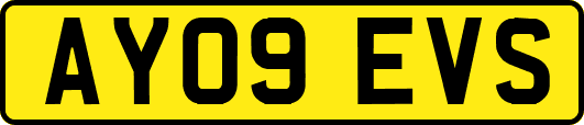 AY09EVS