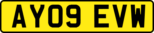 AY09EVW