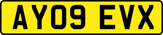 AY09EVX