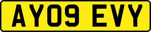 AY09EVY