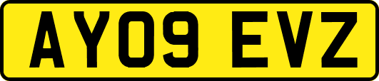AY09EVZ