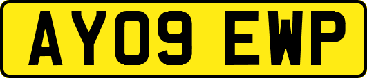 AY09EWP