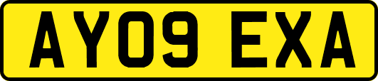 AY09EXA