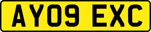 AY09EXC