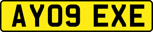 AY09EXE