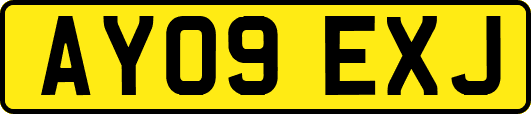 AY09EXJ