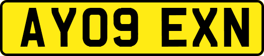 AY09EXN